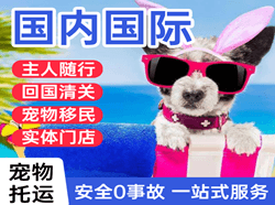 重庆机场快递国际宠物托运 【国